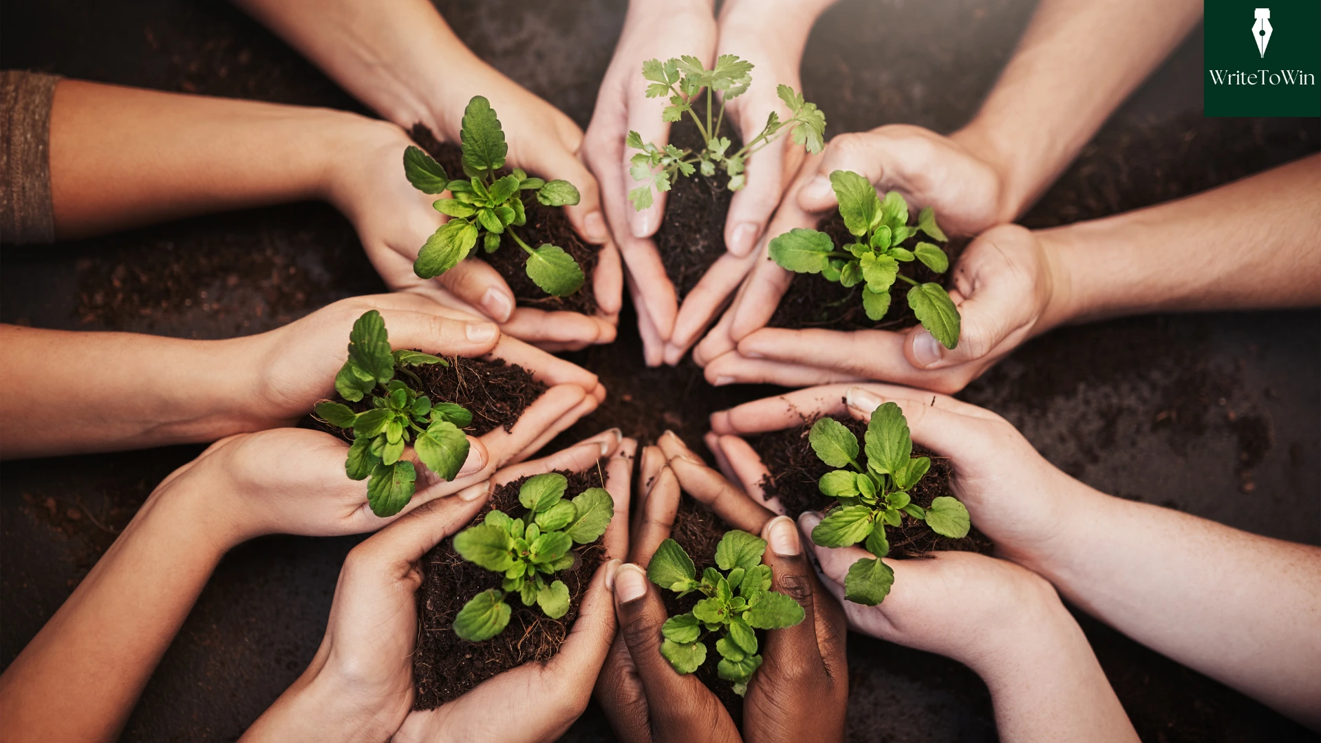 hands of people having plant saplings in them showing unity for environment and climate change