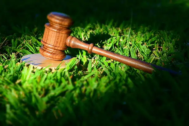 Environmental Laws