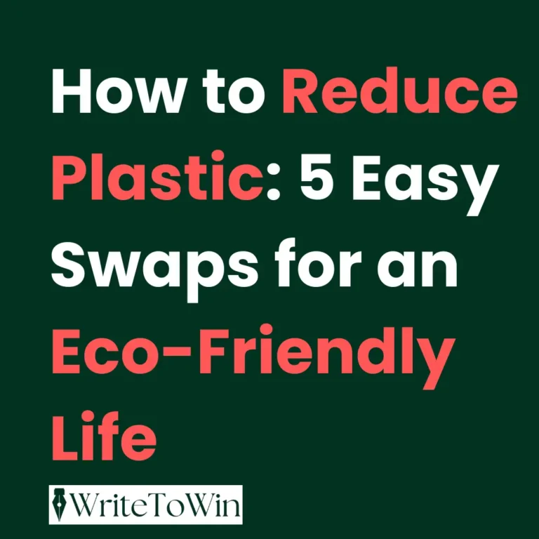 comparing single-use plastic items to their reusable, eco-friendly alternatives. Pictured are a plastic bottle next to a metal bottle, a disposable cup next to a reusable mug, and a plastic bag next to a cloth tote bag.